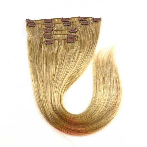 hair extensions clip in cheap long JF0099
